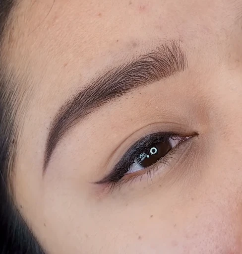 Hair Stroke cejas pelo a pelo